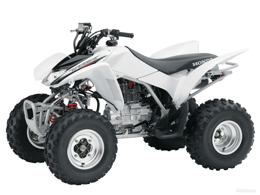 Фото квадроцикла Honda TRX250X